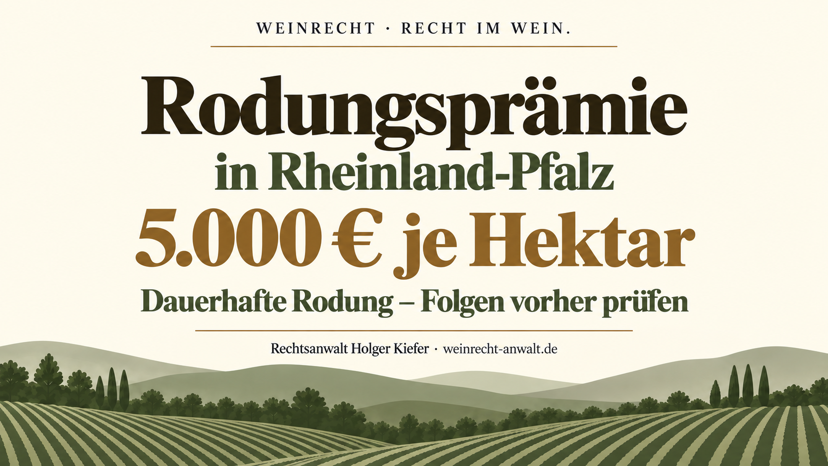 Rodungsprämie in Rheinland-Pfalz: 5.000 Euro je Hektar. Dauerhafte Rodung – Folgen vorher prüfen. Weinbergillustration im Kanzleidesign.